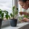 How Much Should You Water House Plants?