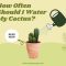 How Much to Water Outdoor Potted Plants