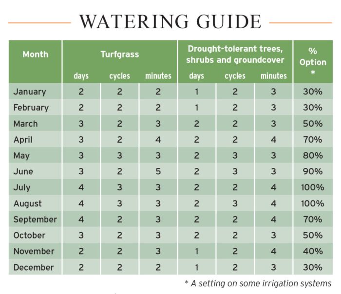 How much to water plant