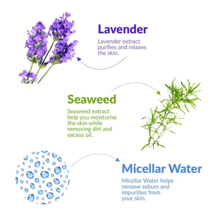 How much should i water my lavender plant