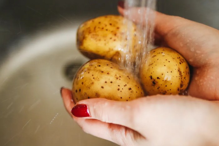 How much do you water potato plants